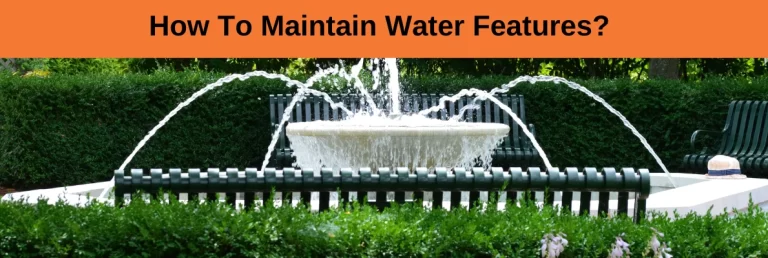 How To Maintain Water Features