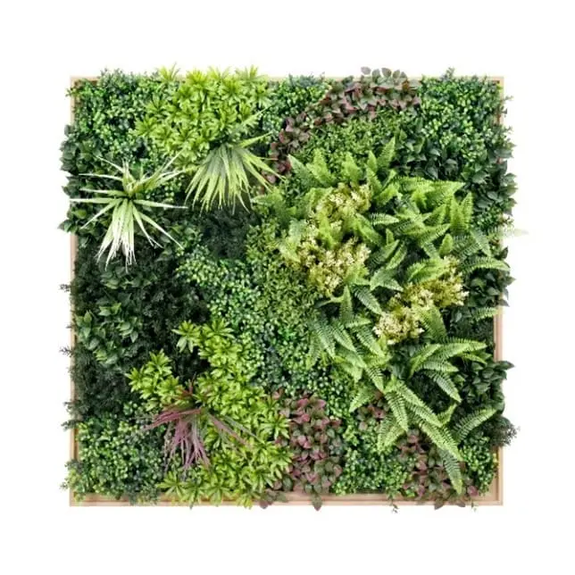 FAUX GREEN WALL MELBOURNE OD KOO1BVO14 EVERLASTING SQUARE 100CMX100CM $250