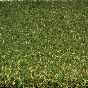 Stadium Gold 30 artificial grass in Melbourne