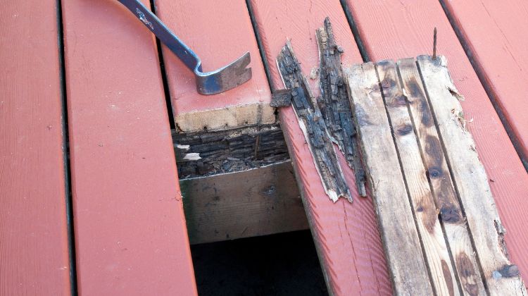 Safety Tips for Preventing Cracks, Splits, and Rot in Merbau Decking