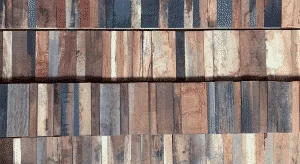 Special 2N 300X164 1