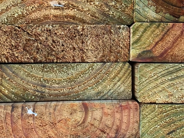 Treated Pine 240x45